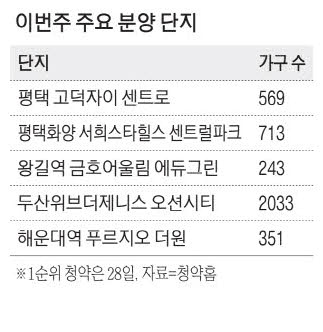 이번주 전매제한 완화에도 '실거주의무' 탓 무용지물