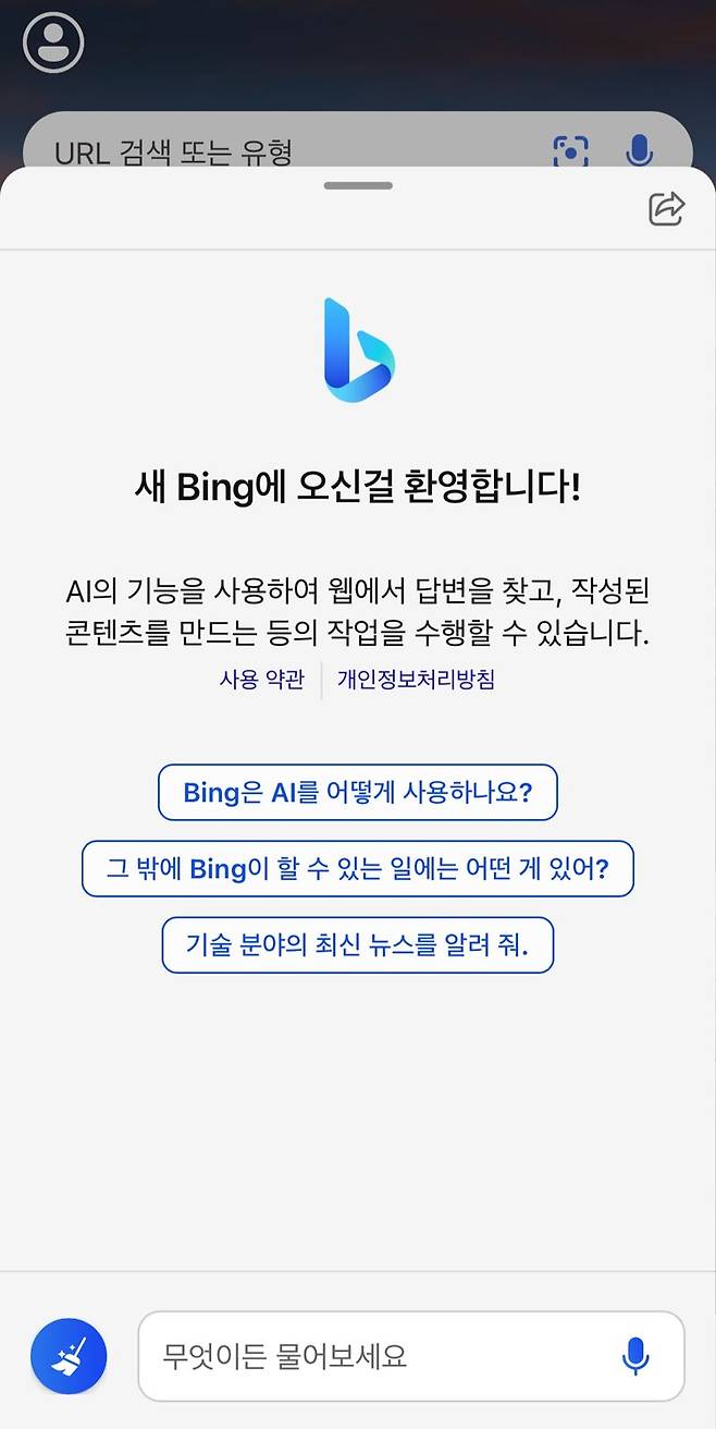 빙 AI 챗봇 이미지. 빙 애플리케이션 캡처