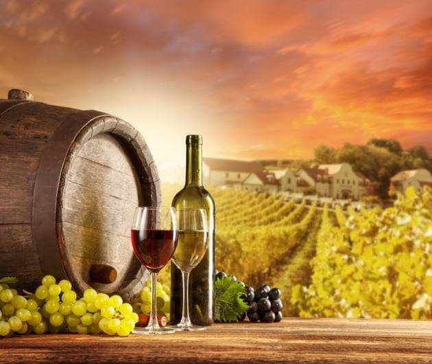 사진=게티이미지뱅크