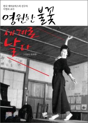 자서전 '영원한 불꽃 세계로 날다' 표지 [예스24 캡처]
