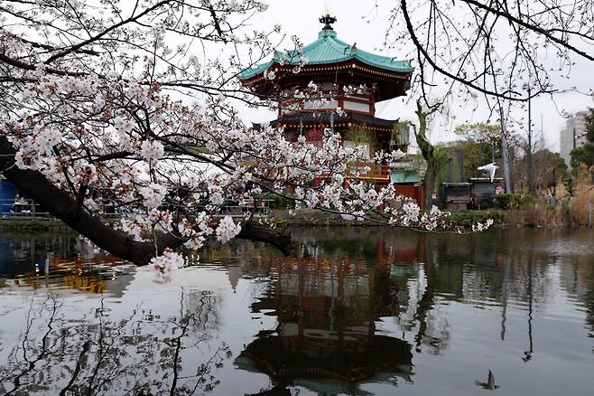 A view shows cherry blossom trees over a pond at Ueno park in Tokyo, Japan, March 21, 2023. REUTERS/Androniki Christodoulou