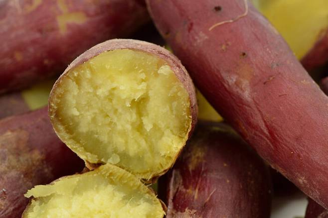 [사진=클립아트코리아]