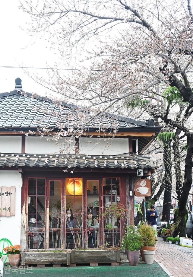 진해 중원로터리 부근의 찻집. 시내 곳곳에 100년 넘은 일본식 가옥을 개조해 영업하는 가게가 숨어 있다.