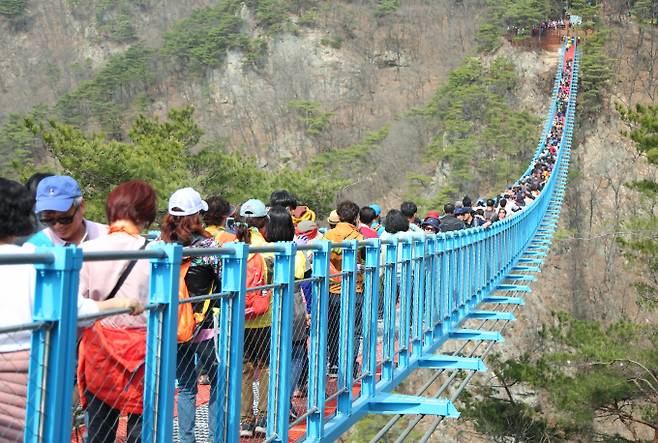강원 원주시 소금산의 출렁다리 인근 스카이워크에서 추락해 숨진 신원미상의 여성 사망자가 10대 청소년인 것으로 추정된다. 사진은 지난 2018년 3월 출렁다리를 찾은 관광객 모습. /사진=뉴스1