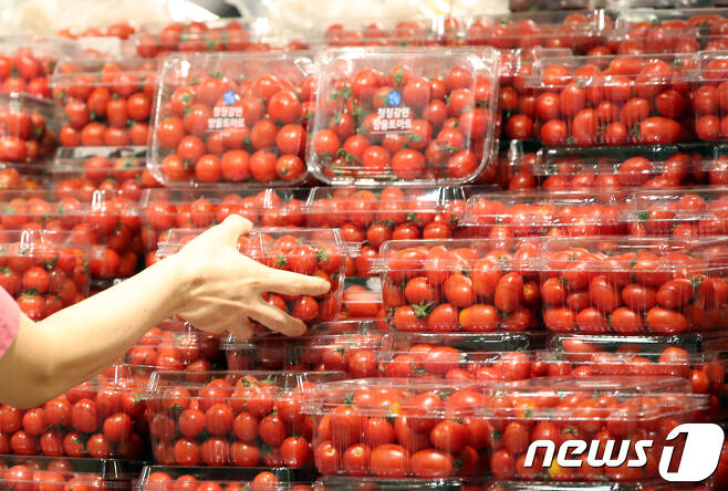 19일 서울시내 대형마트에서 방울토마토와 일반 토마토가 진열돼 있다. 기사 내용과는 무관함. 2018.9.19/뉴스1 ⓒ News1 안은나 기자
