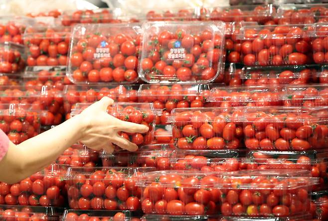 서울 시내 대형마트에서 방울토마토와 일반 토마토가 진열돼 있다. /뉴스1