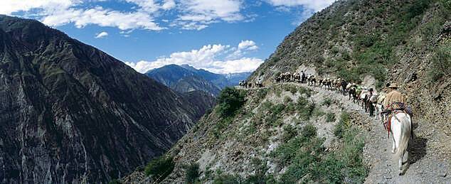 <한국방송>의 차마고도. 한국방송 제공