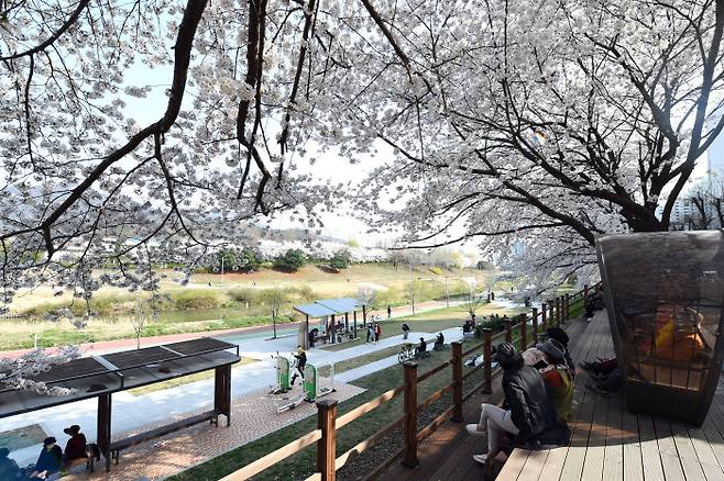 의정부시 호원1동은 시 승격 60주년을 기념하는 호원 벚꽃축제를 다음달 8~9일 이틀간 호원동 벚꽃길 일원에서 연다.
