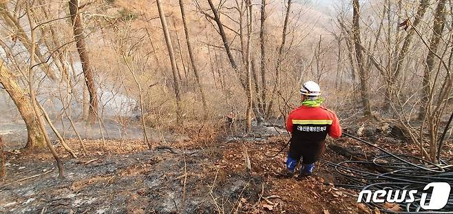 31일 제천시 봉양읍 봉황산 산불 발생 17시만에 진화돼 소방대원들이 잔불을 정리하고 있다.