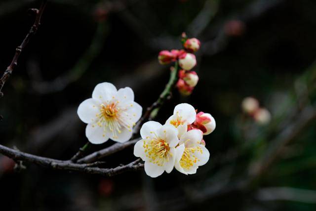 ⓒ게티이미지뱅크