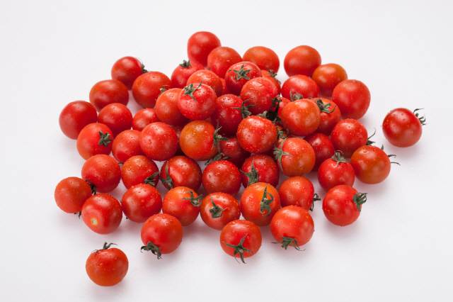 최근 방울토마토를 먹고 구토, 복통 등의 증상을 보였다는 사례가 속출한 가운데 농림축산식품부와 식품의약품안전처가 그 원인으로 토마틴 성분을 지목했다./사진=클립아트코리아