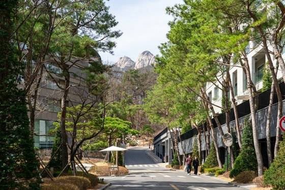 우이동 유원지 초입의 파라스파라. [중앙포토]