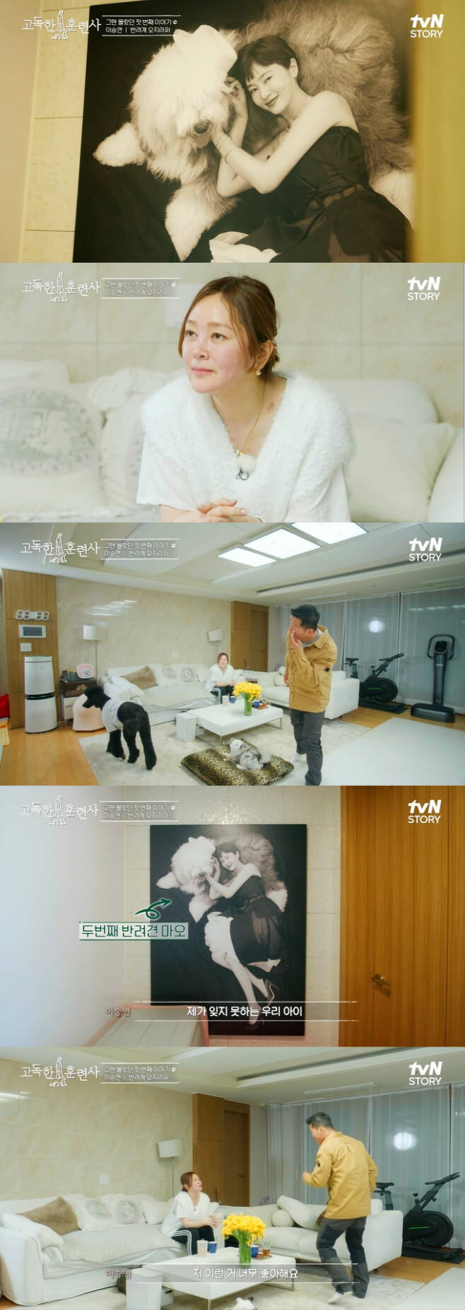반려견 훈련사 강형욱이 배우 이승연에게 사과하는 모습이 전파를 탔다. /사진=tvN 방송캡처