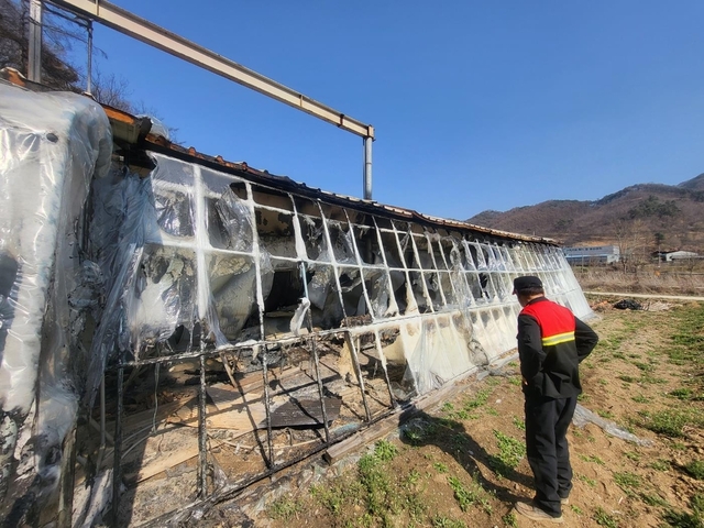 한 산불감시원이 산불로 타버린 농촌 시설물을 이달 29일 허탈하게 바라보고 있다. 연합뉴스
