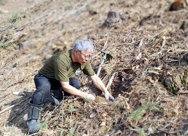 검사장 출신의 송인택 한국꿀벌생태환경보호협회 이사장 [한국꿀벌생태환경보호협회 제공. 재판매 및 DB 금지]