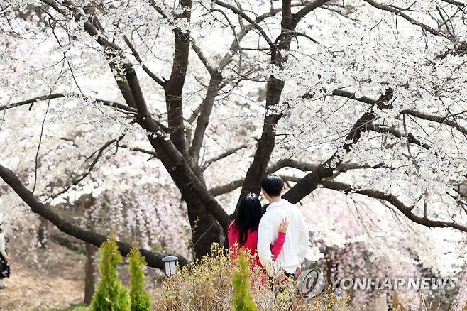 함께 만난 봄 (서울=연합뉴스) 박동주 기자 = 완연한 봄 날씨를 보인 31일 오후 서울 서대문구 연희숲속쉼터에서 시민들이 봄을 만끽하고 있다. 2023.3.31 pdj6635@yna.co.kr