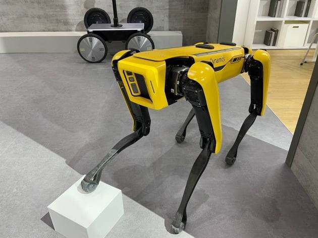 현대차그룹 보스턴다이내믹스의 사족보행 로봇 ‘스팟’. /사진=백수전 기자