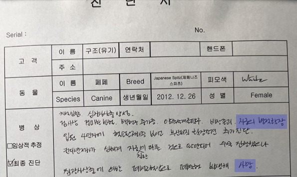 수락산 유기견의 수의사 진단서 예시. 대다수의 개가 자궁의 병적 확장, 자궁축농증, 유선종양을 앓고 있었다. 수의사는 이를 여러 차례 무리한 출산을 겪은 번식견의 유력한 징후라는 소견을 밝혔다. 제보자 제공