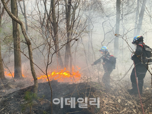 산불재난특수진화대가 대전 서구 산직동 일원에서 산불을 진화하고 있다. (사진=산림청 제공)