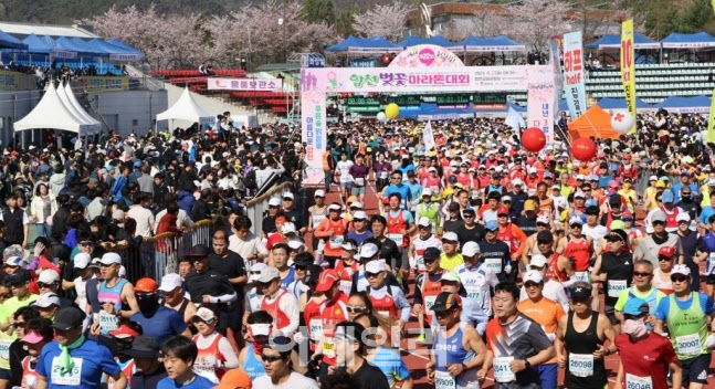 2일 열린 경남 합천에서 열린 벚꽃 마라톤대회에는 역대 가장 인원인 1만2251명이 참여했다. 이 대회는 코로나19 대유행으로 올해 4년 만에 개최됐다. (사진=연합뉴스)