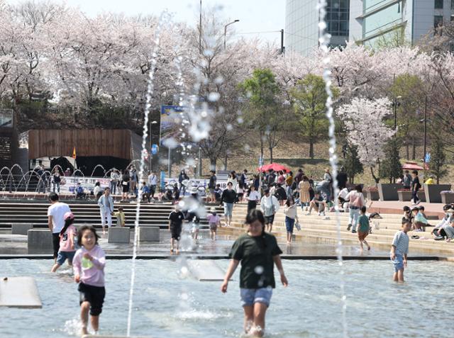 서울의 기온이 26도까지 오르며 더운 날씨를 보이는 2일 오후 벚꽃이 활짝 핀 여의도 물빛광장에서 어린이들이 물놀이를 즐기고 있다. 연합뉴스