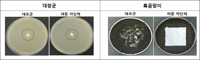 한국원자력연구원이 자체 개발한 항균성 라돈 차단용 도료는 고농도 라돈 방출에도 90% 이상의 라돈 차단율과 우수한 항균, 항곰팡이 특성을 보였다.[한국원자력연구원 제공]