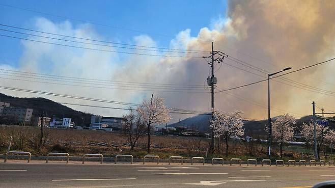 대전 서구에서 산불 (사진=독자 제공, 연합뉴스)