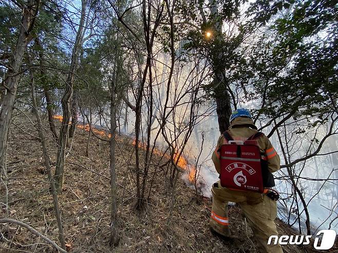 3일 오후 전남 함평군 대동면의 한 야산에서 불이나 소방대원들이 진화작업을 벌이고 있다. (소방청 제공) 2023.4.3/뉴스1