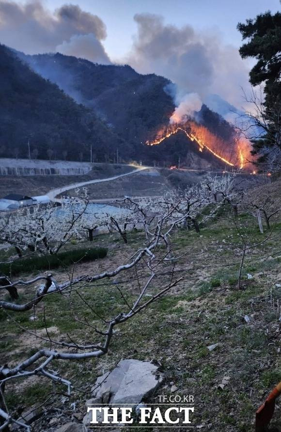 영주의 한 야산에서 불이 나 연기가 하늘로 치솟고 있다./영주=이민 기자