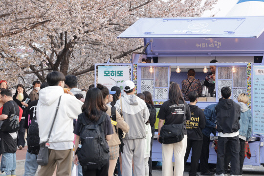 무심천 도로에 활짝 핀 벚꽃나무를 즐기고 있는 청주시민들의 모습.