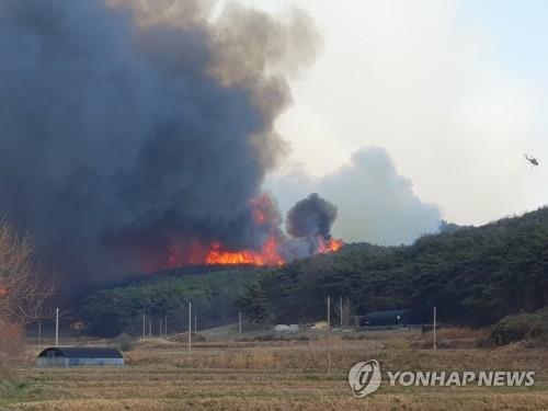 홍성 산불 [연합뉴스 자료사진]