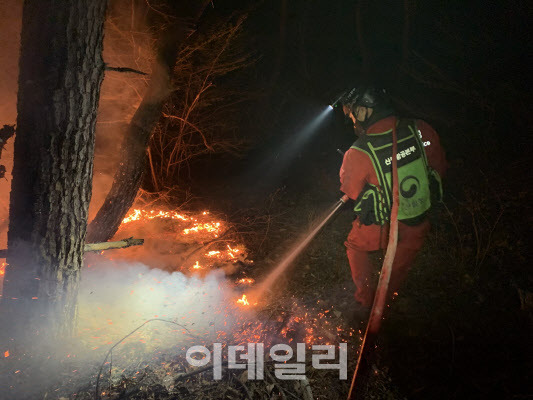 산림청 공중진화대원들이 3일 충남 홍성에서 밤새 산불을 진화하고 있다. (사진=산림청 제공)