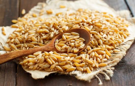 카무트ㅣ출처: 게티 이미지뱅크