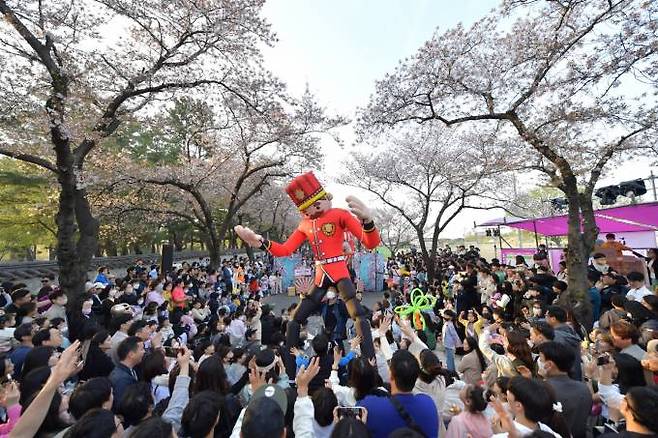 경주 벚꽃축제 현장 모습. (경주시 제공) 2023.04.04