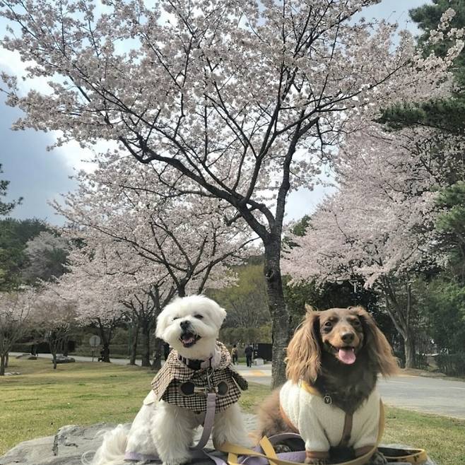 울산광역시 반려동물친화관광지 울산대공원/사진제공=한국관광공사