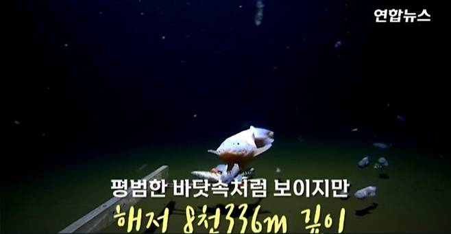 연합뉴스 유튜브 영상 캡처.