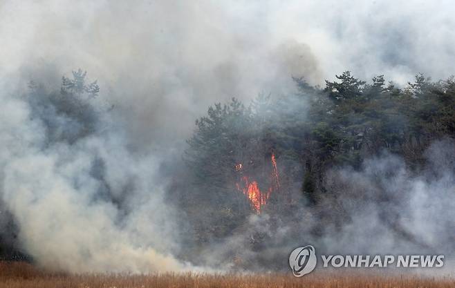 함평 산불 (함평=연합뉴스) 조남수 기자 = 4일 오전 전남 함평군 대동면 연암리 대동저수지 인근 야산에서 산불이 나고 있다. 2023.4.4 iso64@yna.co.kr