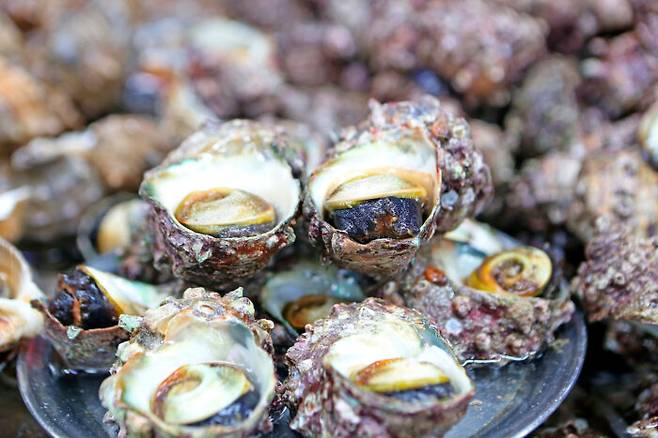 [사진=클립아트코리아]