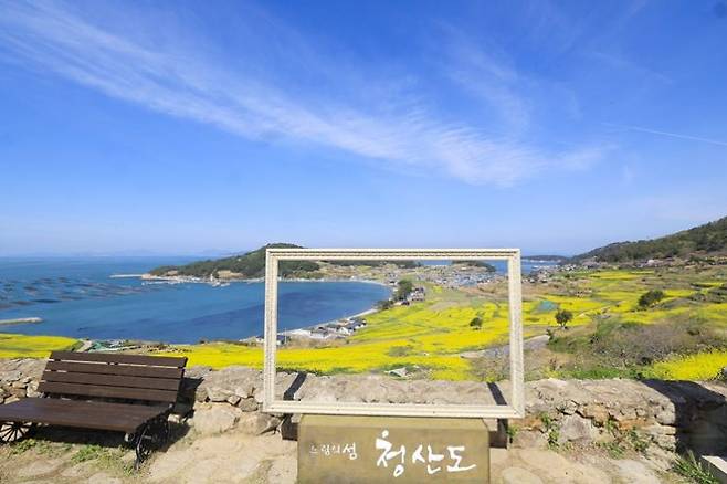 완도 청산도 유채 꽃 밭 전경 [사진제공=완도군]