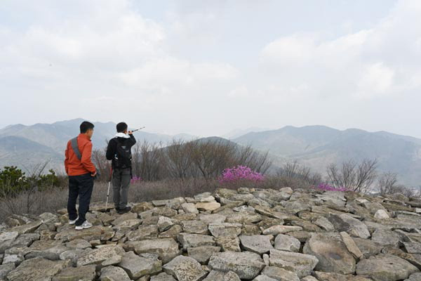 전남 여수시 봉화산~부암산은 산길이 넓고 양탄자를 깐 듯 푹신해 걷기 좋다. 산 아래 만덕동 주민이 봉화산 정상의 봉화대에서 북쪽 조망을 즐기고 있다. 왼쪽은 영취산과 진례산이며 오른쪽은 가야 할 부암산이다. 발아래 진달래 군락에 꽃몽오리가 맺혀 있다.