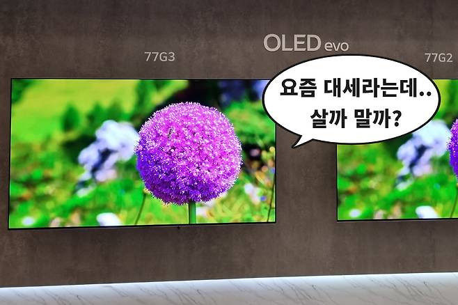LG 올레드 TV. 김민지 기자