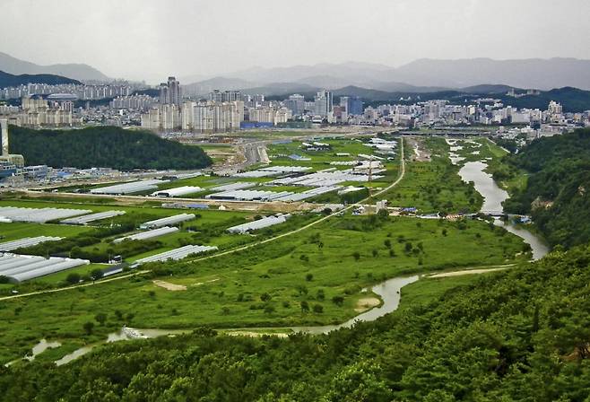 갑천습지 [대전시 제공]