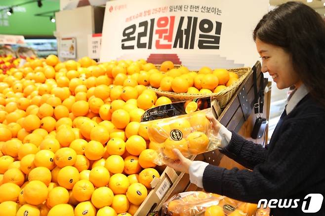 롯데마트 서울역점에서 황금당도 오렌지를 들고 있는 모델 사진.(롯데쇼핑 제공)