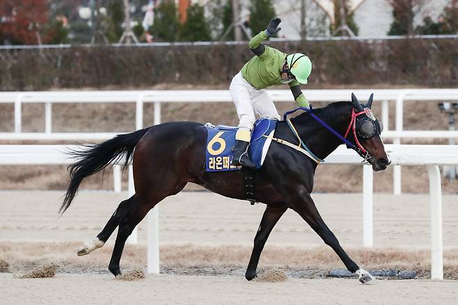 라온퍼스트. 사진제공=한국마사회