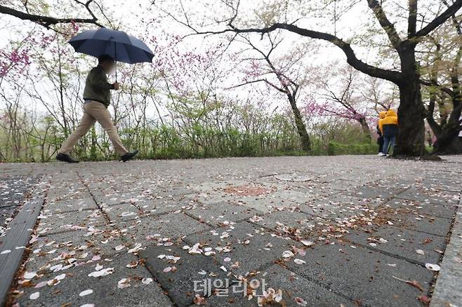 서울 영등포구 여의서로 일대에서 시민들이 낙화한 벚꽃 위를 지나고 있다. ⓒ데일리안 김민호 기자