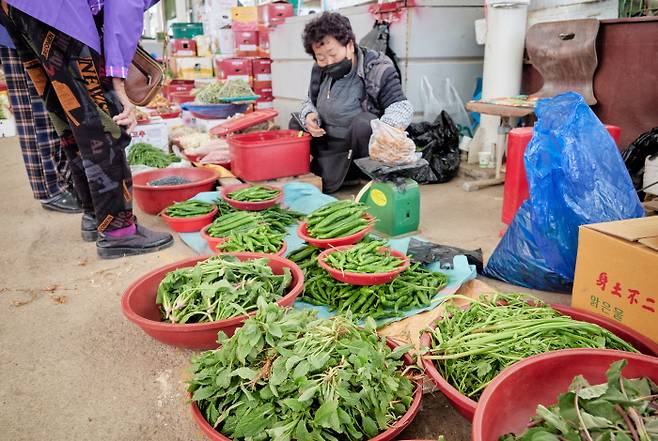 ‘곰보배추’로 불리는 뱀차즈기를 오랜만에 만났다. 소금물에 담가 살짝 숨을 죽인 뒤 김치양념에 버무리면 청량한 쓴맛을 내는 별미 김치로 즐길 수 있다.