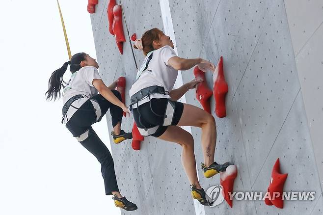 스피드 예선에서 경기 펼치는 정지민과 노희주 (서울=연합뉴스) 신현우 기자 = 7일 서울 강남스포츠클라이밍센터에서 열린 제43회 전국 스포츠클라이밍 선수권대회 스피드 여자 예선에서 정지민(왼쪽)과 노희주가 경기를 펼치고 있다. 2023.4.7 nowwego@yna.co.kr