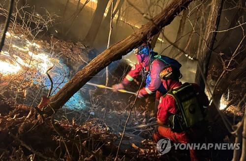 평창 산불 진화 지난 18일 낮에 발생한 강원 평창 산불 진화 현장에 투입된 특수진화대원들이 야간 진화에 총력을 기울이고 있다. [산림청 제공.재판매 및 DB 금지]