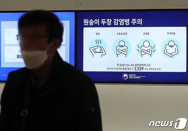 15일 오후 인천국제공항 1터미널 출국장 전광판에 원숭이 두창 감염에 대한 안내가 나오고 있다. 2022.11.15/뉴스1 ⓒ News1 김진환 기자