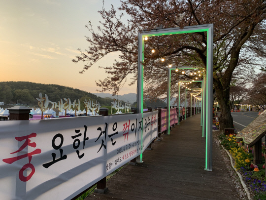 7일 방문한 대청호 벚꽃축제 현장.'중요한 건 꺾이지 않는 축제' 홍보 플랜카드가 대청호 벚꽃축제에 걸려있다. 사진=이다온 기자